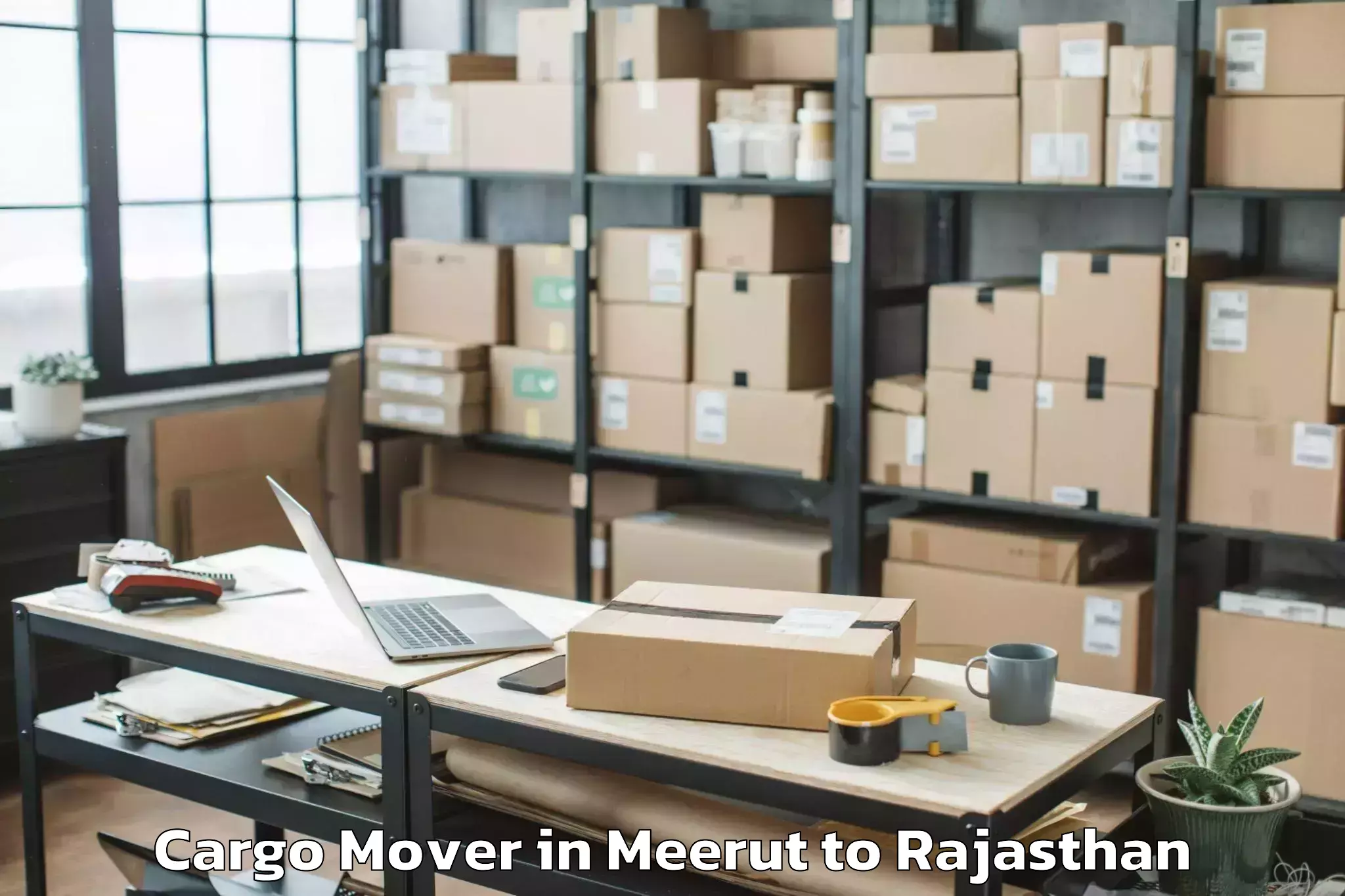 Book Meerut to Jhalawar Cargo Mover